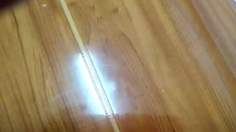 llee80776 online show from 21, 3, 2026