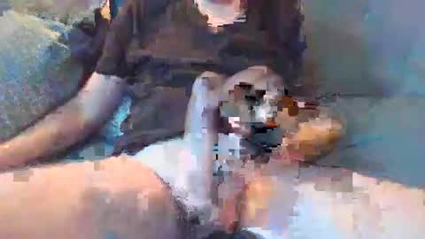 Lnkn online show from 2, 3, 2026