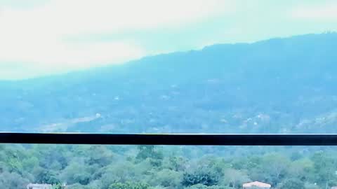 Lynx Mist online show from 13, 1, 2026