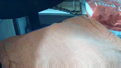 Snapshot of loboxavi chatting on 19, 9, 2025 loboxavi online show from 19, 9, 2025