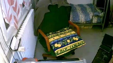 Snapshot of lokoum39 chatting on 2, 12, 2024 lokoum39 online show from 2, 12, 2024