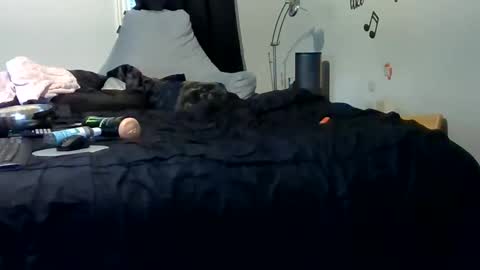 lonelydick2222 online show from 25, 5, 2026