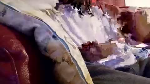 Snapshot of longgrip chatting on 20, 1, 2025 longgrip online show from 20, 1, 2025