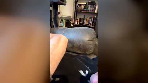Snapshot of longhairhunky chatting on 7, 3, 2026 longhairhunky online show from 7, 3, 2026