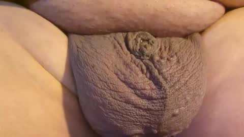 2791 3D online show from 23, 4, 2026