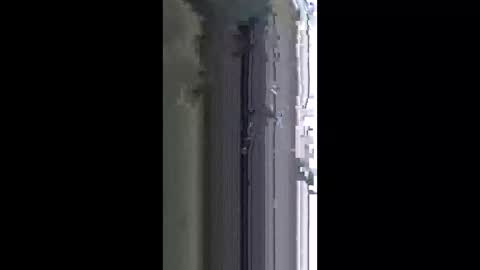 lotusbloom5 online show from 16, 4, 2026