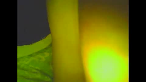Snapshot of love5pu55y chatting on 6, 3, 2025 PleasureX online show from 6, 3, 2025