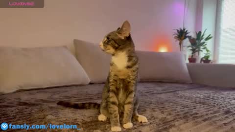 Elsa online show from 22, 10, 2025