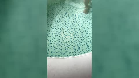 Snapshot of lovelyladyflaccid chatting on 31, 5, 2026 lovelyladyflaccid online show from 31, 5, 2026