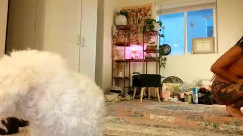 Snapshot of lovelyxmacii chatting on 8, 5, 2026 lovelyxmacii online show from 8, 5, 2026