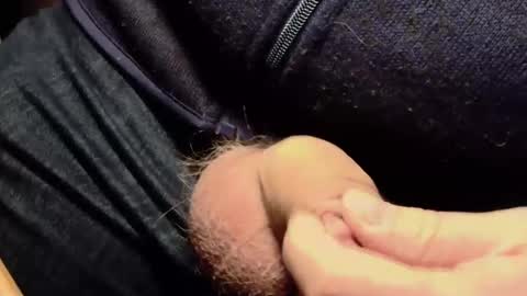 Lt645 online show from 7, 12, 2024