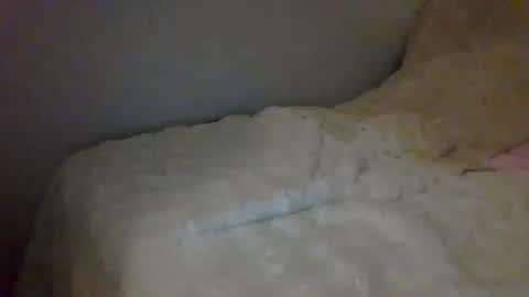 Snapshot of lucany__ chatting on 26, 12, 2024 Luca online show from 26, 12, 2024