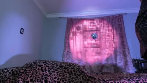 Luciana Evans online show from 19, 11, 2025