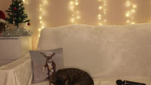 Snapshot of luckyday_ chatting on 25, 12, 2024 Katerina online show from 25, 12, 2024
