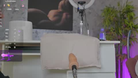 Alice online show from 25, 2, 2025