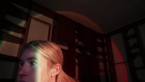 Snapshot of lucy_gooosey chatting on 14, 12, 2024 Lucy. online show from 14, 12, 2024