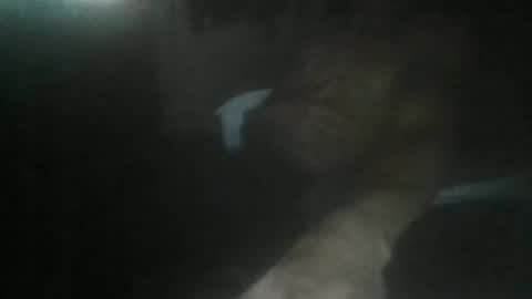 luizs23 online show from 5, 11, 2025