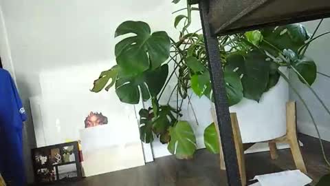 Luke online show from 15, 3, 2026