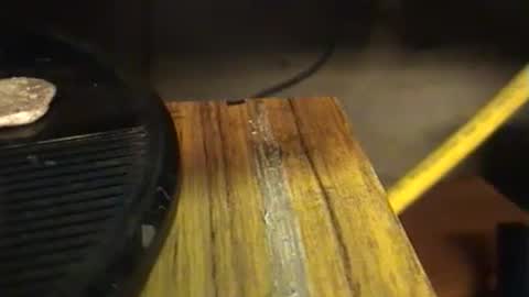 lukestarfckr online show from 29, 9, 2025