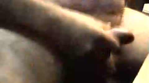 lukestarfckr online show from 2, 11, 2025