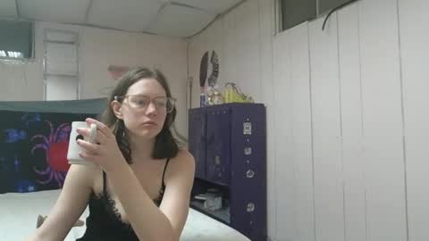 Snapshot of lunaquinn45 chatting on 12, 2, 2025 lunaquinn45 online show from 12, 2, 2025