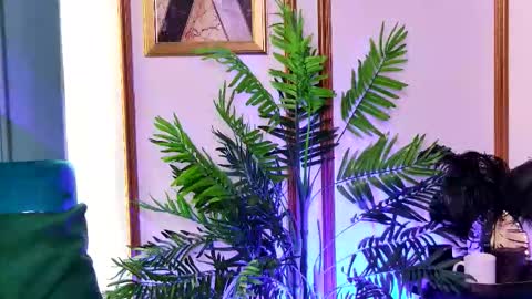 Luna online show from 20, 2, 2026