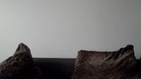 Lupine online show from 5, 1, 2025