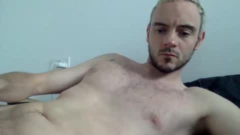 Lupine online show from 17, 10, 2025