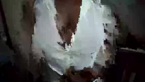 Nessy online show from 20, 10, 2025