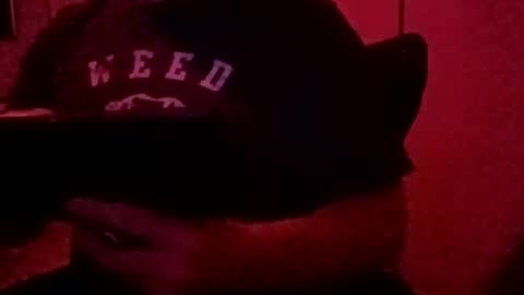 Luv2tokNstrok online show from 3, 11, 2025