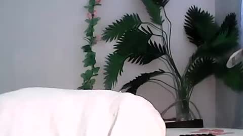 Bee Bee online show from 13, 9, 2025