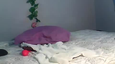 Bee Bee online show from 15, 10, 2025