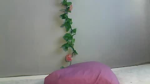 Bee Bee online show from 22, 10, 2025