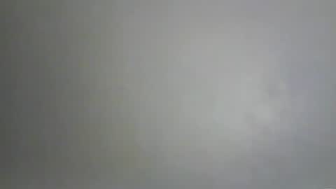 Bee Bee online show from 10, 2, 2026