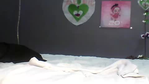 Bee Bee online show from 22, 2, 2026