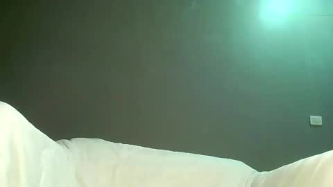 Bee Bee online show from 17, 4, 2026