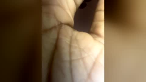Snapshot of luvvlee chatting on 29, 6, 2026 luvvlee online show from 29, 6, 2026