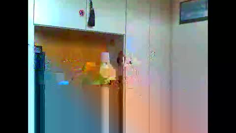 Snapshot of luxx72boy chatting on 11, 1, 2025 luxx72boy online show from 11, 1, 2025