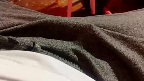 Lvac11 online show from 21, 12, 2024