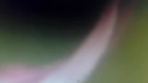 lydiasarch online show from 10, 4, 2026