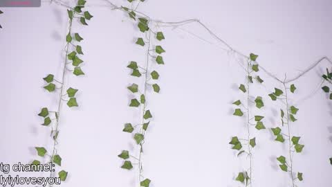 Lyly   online show from 13, 1, 2026