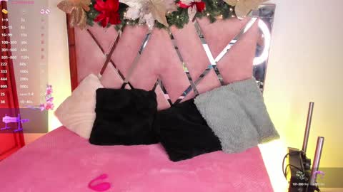 Snapshot of lys_with chatting on 13, 12, 2024 VIVIANA online show from 13, 12, 2024