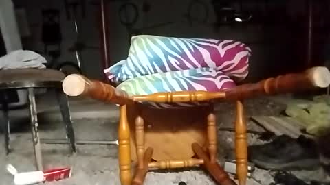 Snapshot of m46162328 chatting on 24, 9, 2025 m46162328 online show from 24, 9, 2025