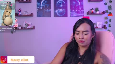 Snapshot of macey_hairy chatting on 6, 2, 2025 Macey Elliot Modelo Independiente online show from 6, 2, 2025