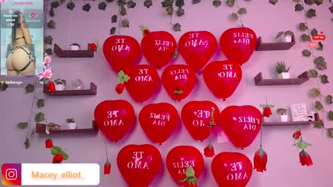 Snapshot of macey_hairy chatting on 15, 2, 2025 Macey Elliot Modelo Independiente online show from 15, 2, 2025