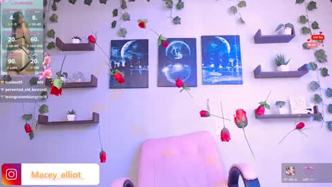 Snapshot of macey_hairy chatting on 26, 2, 2025 Macey Elliot Modelo Independiente online show from 26, 2, 2025