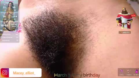 Snapshot of macey_hairy chatting on 2, 3, 2025 Macey Elliot Modelo Independiente online show from 2, 3, 2025