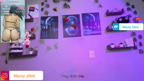 Snapshot of macey_hairy chatting on 12, 3, 2025 Macey Elliot Modelo Independiente online show from 12, 3, 2025