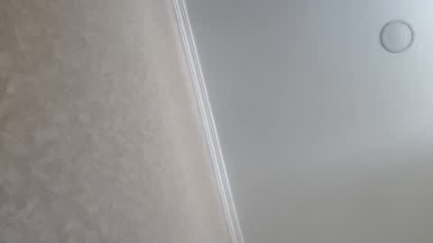 Tchia online show from 23, 2, 2026