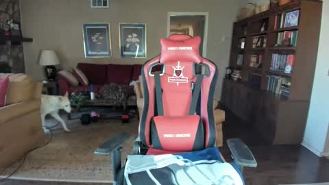 Snapshot of machinecumkelly69 chatting on 25, 2, 2025 machinecumkelly69 online show from 25, 2, 2025